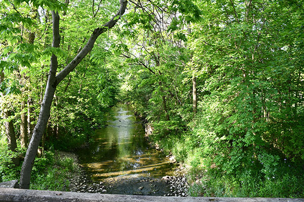 luffton’s natural restoration projects have continued to encourage collaboration between the campus and the surrounding community, inviting students, faculty, staff and local residents to engage directly with the outdoors. 