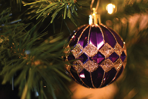 This celebratory gathering brings the campus community together to reflect on the season of Advent and prepare for the Christmas holiday through music, readings and reflection.
