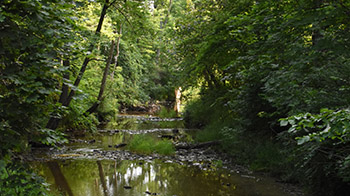 Little Riley Creek