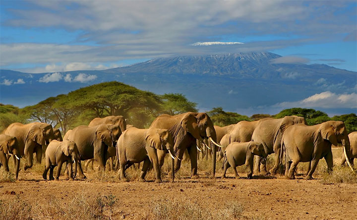 Tanzania